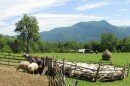 Полонинське господарство
